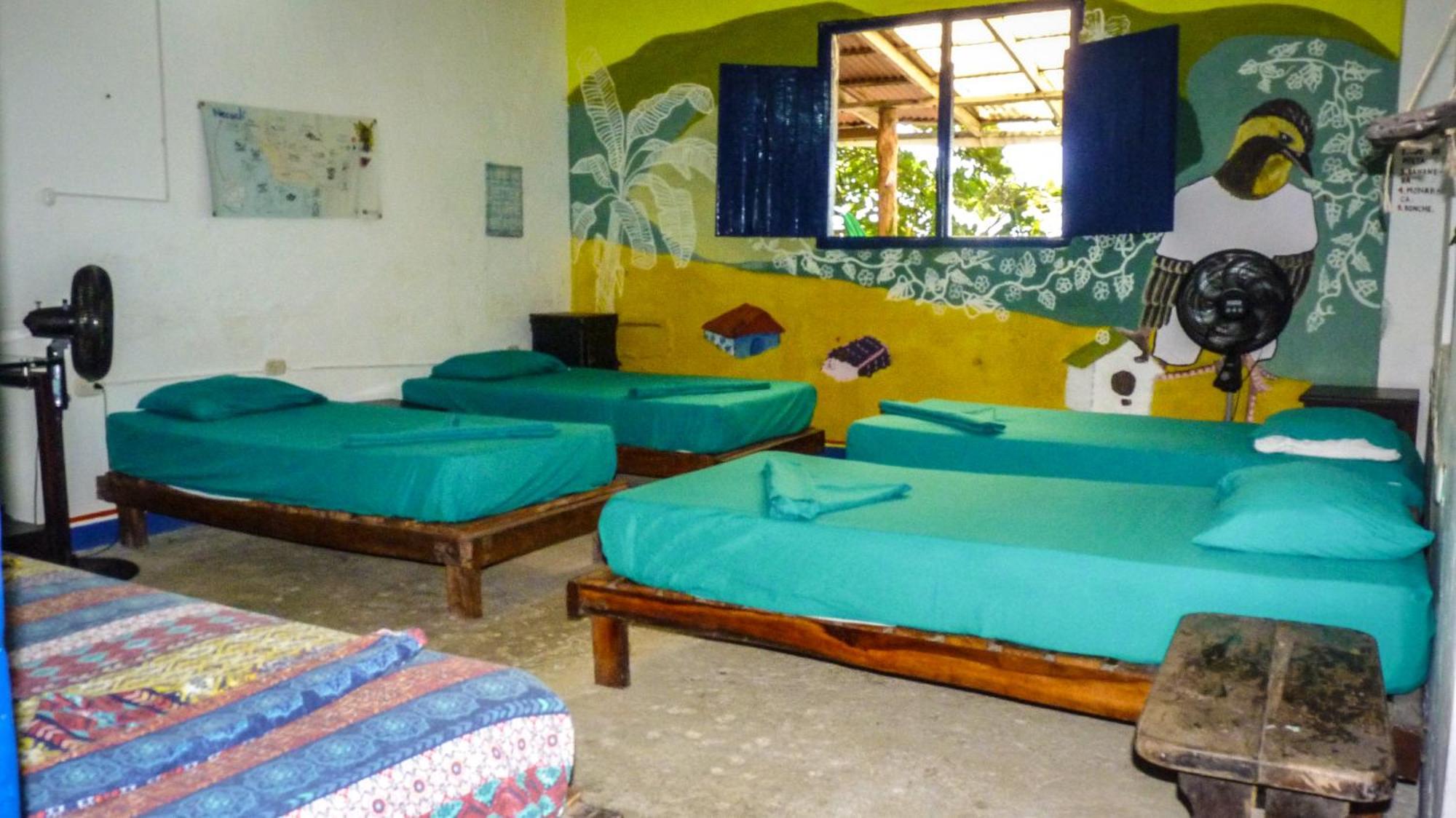 Hostal La Mariapolis Necocli Exterior photo